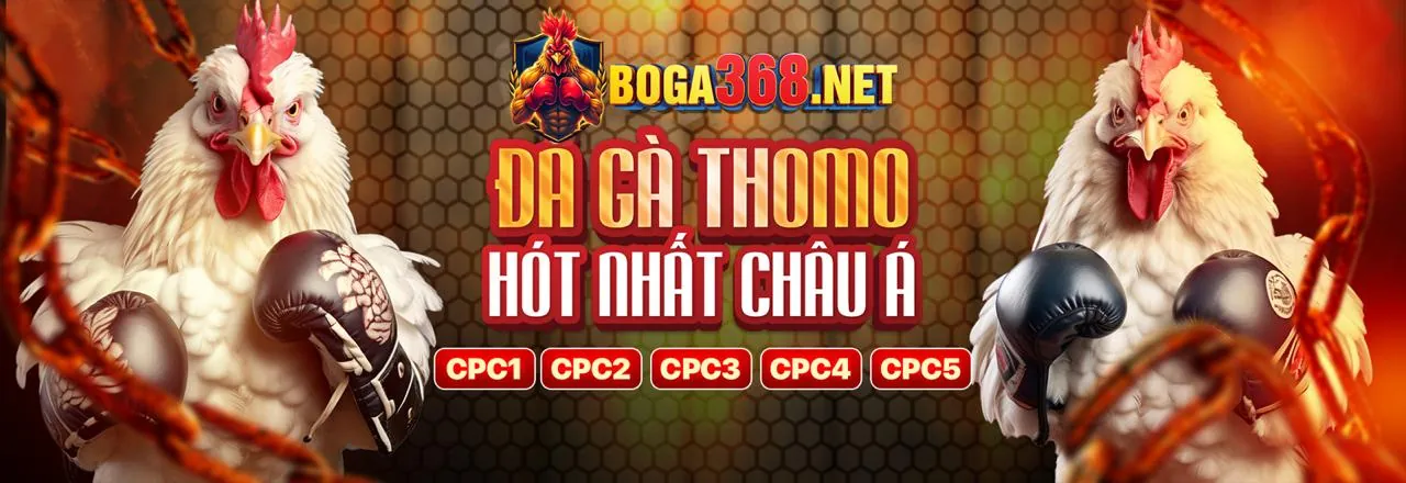 Đá Gà Trực Tuyến banca28 win